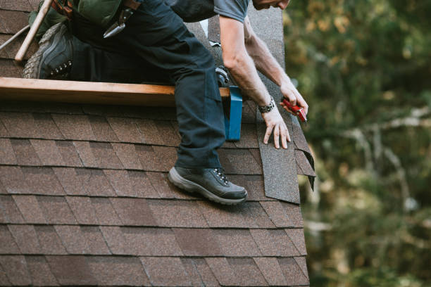 Best Metal Roofing Contractor  in Wright, WY